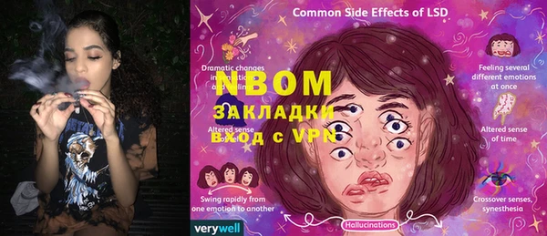 стаф Ельня