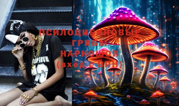 стаф Ельня